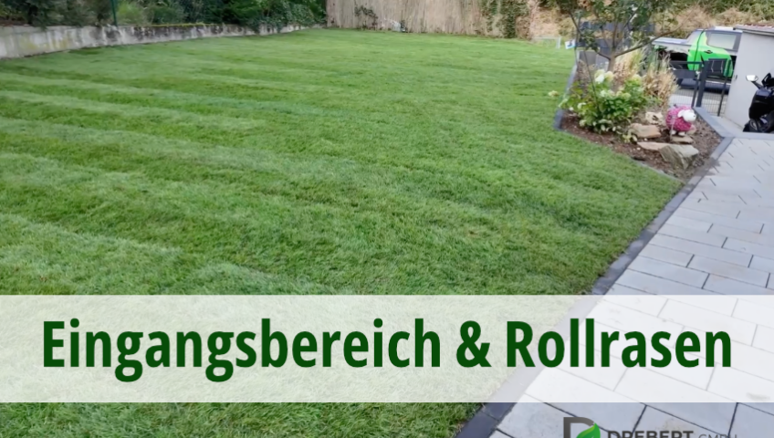 Eingangsbereich & Rollrasen im Raum Wiesbaden